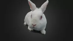 John