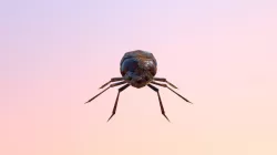 JonesBug