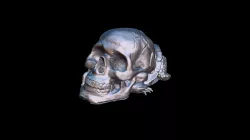 Kendall Freeman - Project 1 - Intro to Sculpture