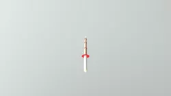 Kendo Stick