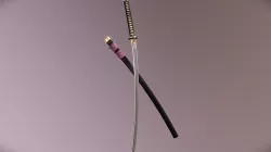Kenshin's reverse blade sword