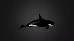 Killerwhale