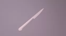 Kitchen Knife