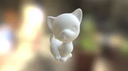 kitten