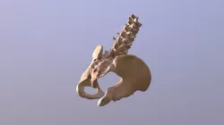 Knee Lateral Rotation_Turquoise