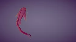Koi Test