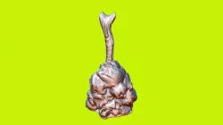 Koons collage
