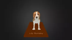 L I L Y5