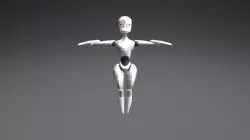 L4R4_LowPoly