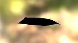 Land Model Rhino- Grasshopper