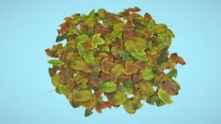 Leaf