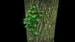 Leafy Vine on Tree - Photogrammetry Scan