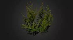 Leaves 3