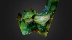 Lens Blur model