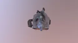 Lion Final Project