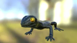 Lizard