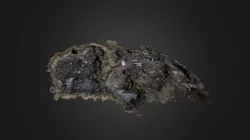 LLGRID8 (2014) low-res