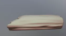 Log