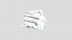 Logs 3D Photoscan