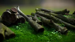 Logs