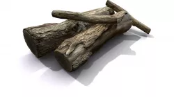 Logs