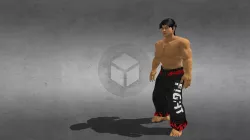 LONG SHIN "COMBAT OF THE ARTS"
