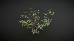 Low Poly Bush