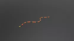 Low Poly Cartoon Coral Snake