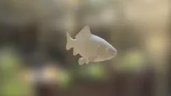 Low poly hand painted fish