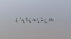 Low Poly People Playing Music