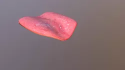Low Poly Tongue (Bent)