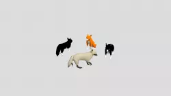 Low Poly Wolf