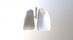 Lung