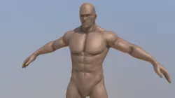 Male Apose Character