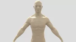 Male base mesh (Anatomy study to low poly)