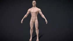 Male Body Base