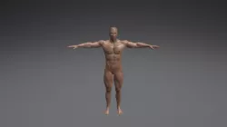 Male Drawing Poses 005 (Body Builder)