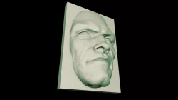 MALE FACE STUDY