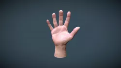 Male Hand
