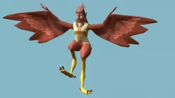 Male Harpy