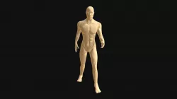 Male Model