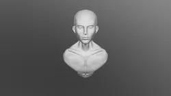 Man head sculpt