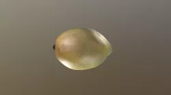 Mango_Photogrammetry