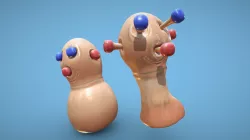 Martian Popping Thing