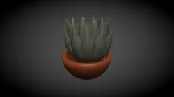 maseta