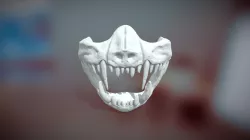 Mask