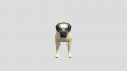 Mastiff