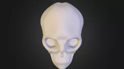 medium skull2.obj