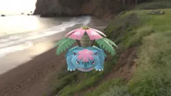Mega Venusaur - Godoy