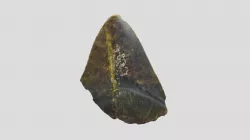 Megalodon Tooth (VCU_3D_5216)